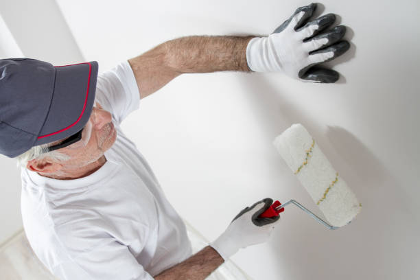 Mold Odor Removal Services in Wauseon, OH