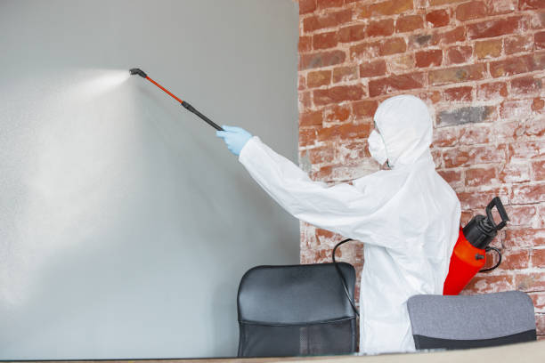 Reliable Wauseon, OH Mold Removal Solutions