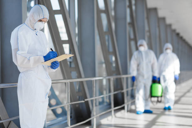 Best Asbestos and Lead Testing During Mold Inspection  in Wauseon, OH