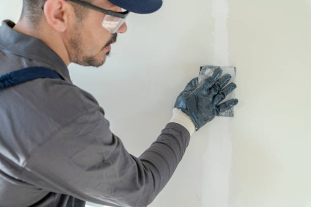 Mold Remediation for Vacation Homes in Wauseon, OH