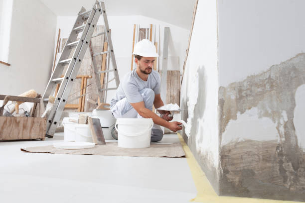 Best Emergency Mold Remediation  in Wauseon, OH