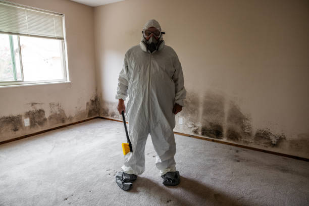 Best Biohazard Mold Removal  in Wauseon, OH