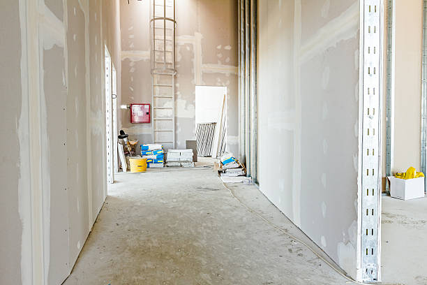 Best Environmental Consulting for Mold Prevention  in Wauseon, OH
