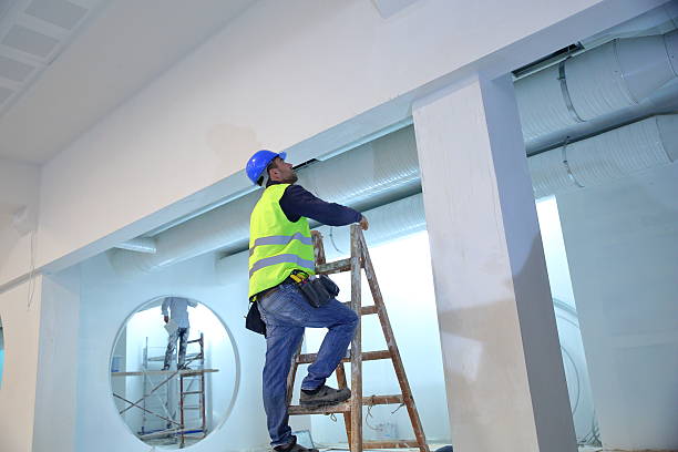 Best Mold Documentation for Insurance Claims  in Wauseon, OH